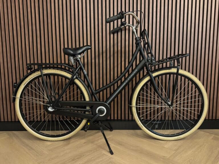 Batavus Packd 28 inch