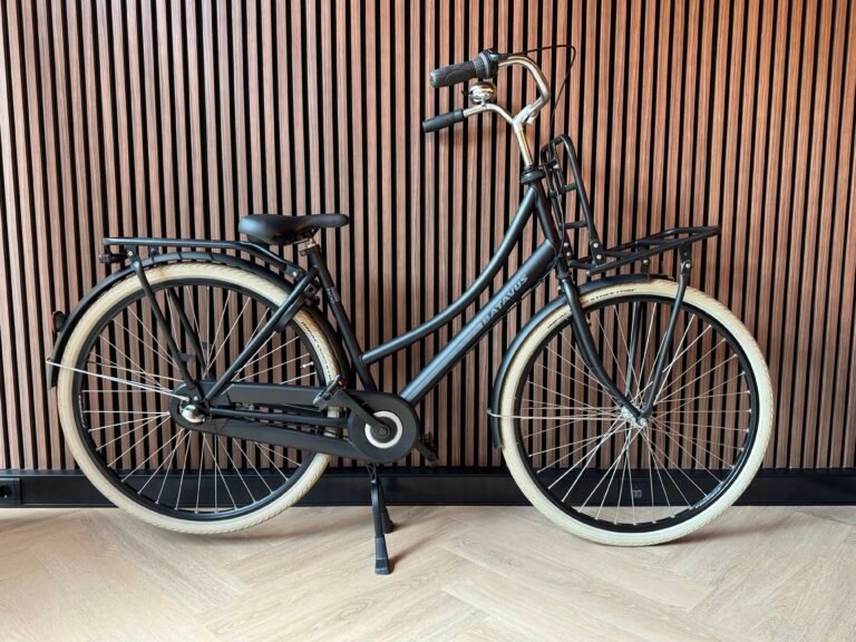 Batavus Packd 28 inch