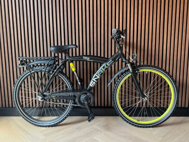Batavus Snake 26 inch