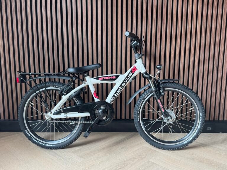 Batavus Snake 20 inch