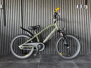 Alpina Trial 20 inch 31 cm frame Refurbished AL0002050089