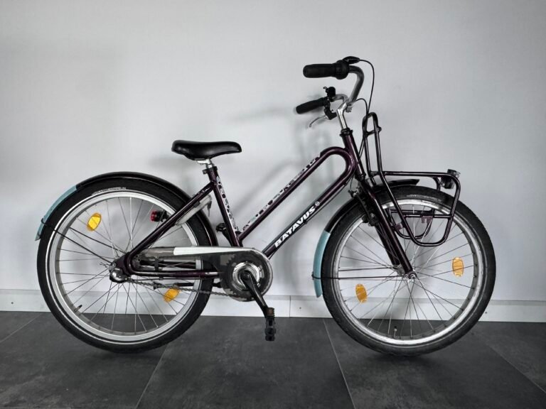 Batavus Bub 24 inch